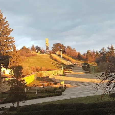 Cozy בית הארחה 3*