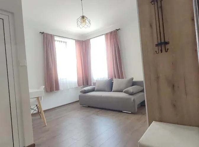 Cozy パナギュリシテ