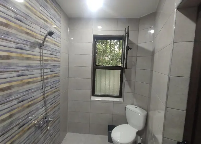 Cozy ゲストハウス 3*